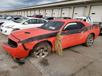  Salvage Dodge Challenger