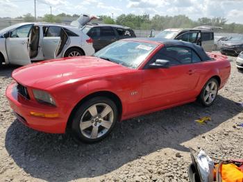  Salvage Ford Mustang