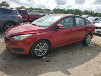  Salvage Ford Focus