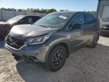  Salvage Honda Crv