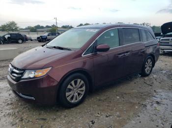  Salvage Honda Odyssey