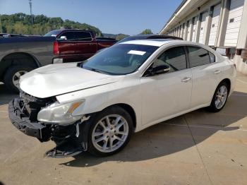  Salvage Nissan Maxima