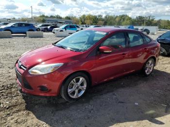  Salvage Ford Focus