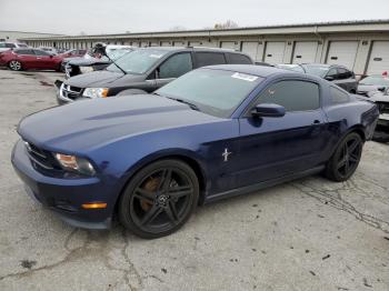  Salvage Ford Mustang