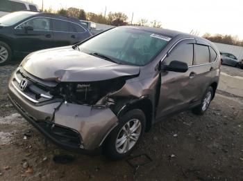  Salvage Honda Crv