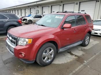  Salvage Ford Escape