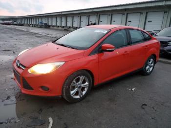  Salvage Ford Focus