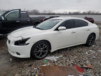  Salvage Nissan Maxima