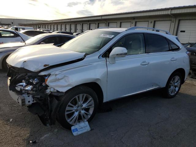  Salvage Lexus RX