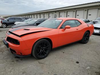  Salvage Dodge Challenger