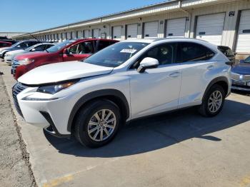  Salvage Lexus NX