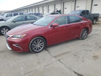  Salvage Lexus Es