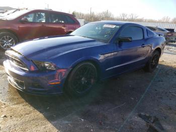  Salvage Ford Mustang