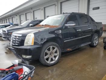  Salvage Cadillac Escalade