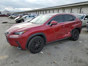  Salvage Lexus NX