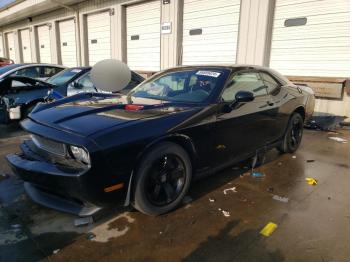  Salvage Dodge Challenger