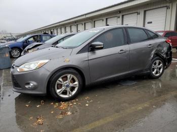  Salvage Ford Focus