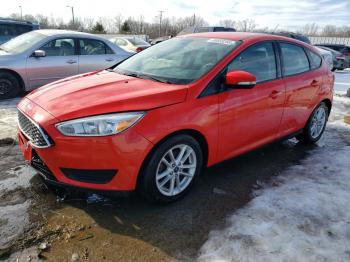  Salvage Ford Focus