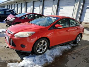  Salvage Ford Focus