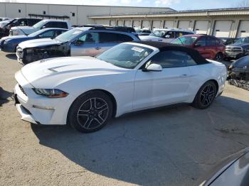  Salvage Ford Mustang