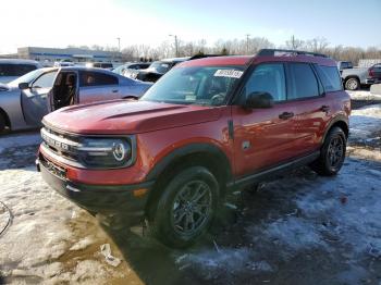  Salvage Ford Bronco