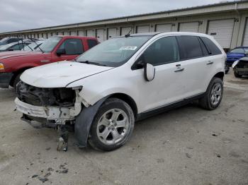  Salvage Ford Edge