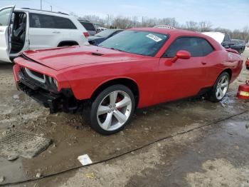  Salvage Dodge Challenger