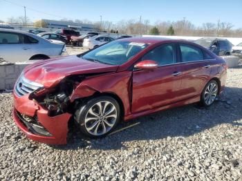  Salvage Hyundai SONATA