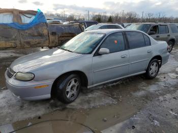  Salvage Chevrolet Malibu