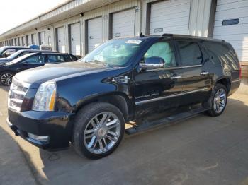  Salvage Cadillac Escalade