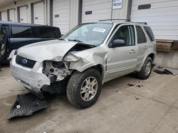  Salvage Ford Escape