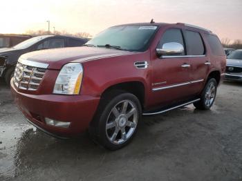  Salvage Cadillac Escalade