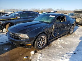  Salvage Ford Mustang