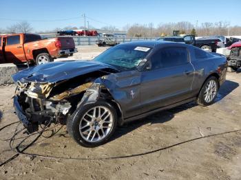  Salvage Ford Mustang