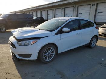  Salvage Ford Focus