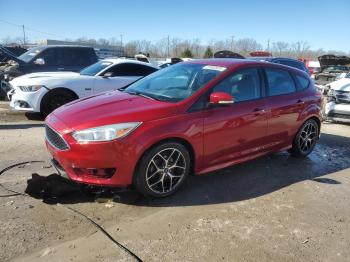  Salvage Ford Focus