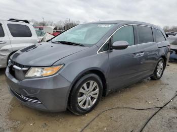  Salvage Honda Odyssey