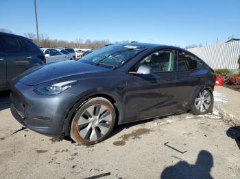  Salvage Tesla Model Y