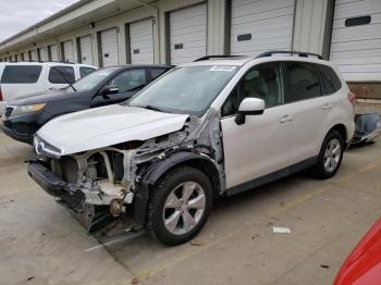  Salvage Subaru Forester