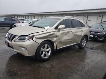  Salvage Lexus RX