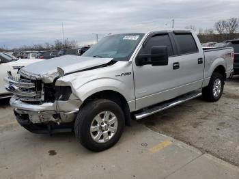  Salvage Ford F-150