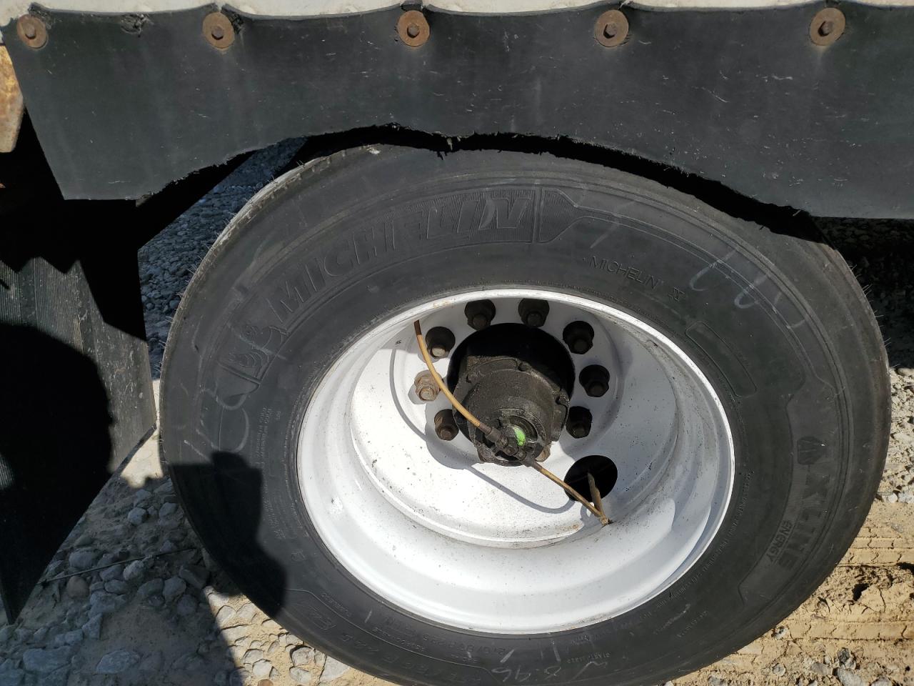 Great Dane Other Image 6