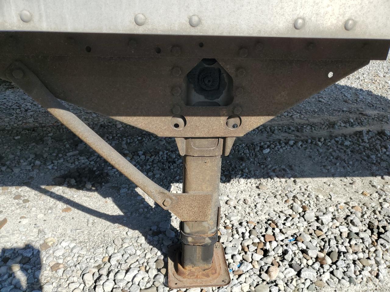 Great Dane Other Image 8