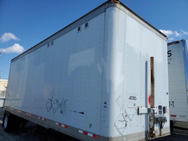 Great Dane Other Image 3