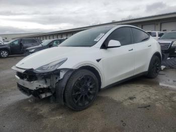  Salvage Tesla Model Y