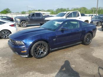  Salvage Ford Mustang