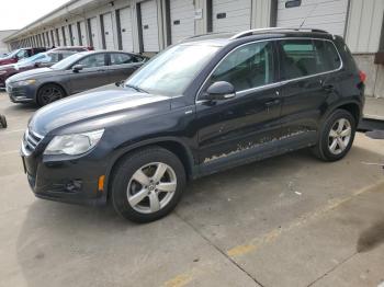  Salvage Volkswagen Tiguan