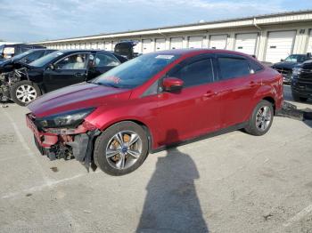 Salvage Ford Focus