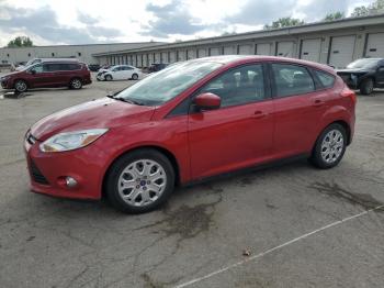  Salvage Ford Focus