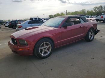  Salvage Ford Mustang